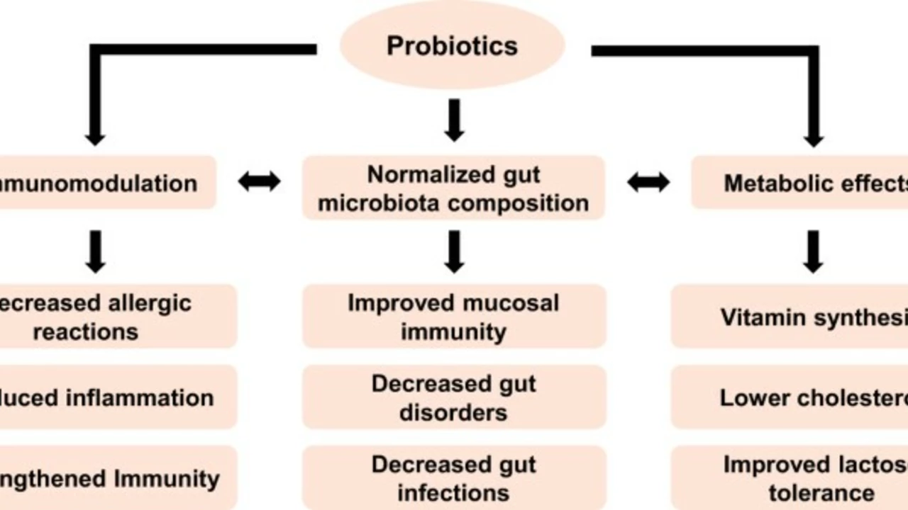 The Role of Probiotics in Preventing Infections